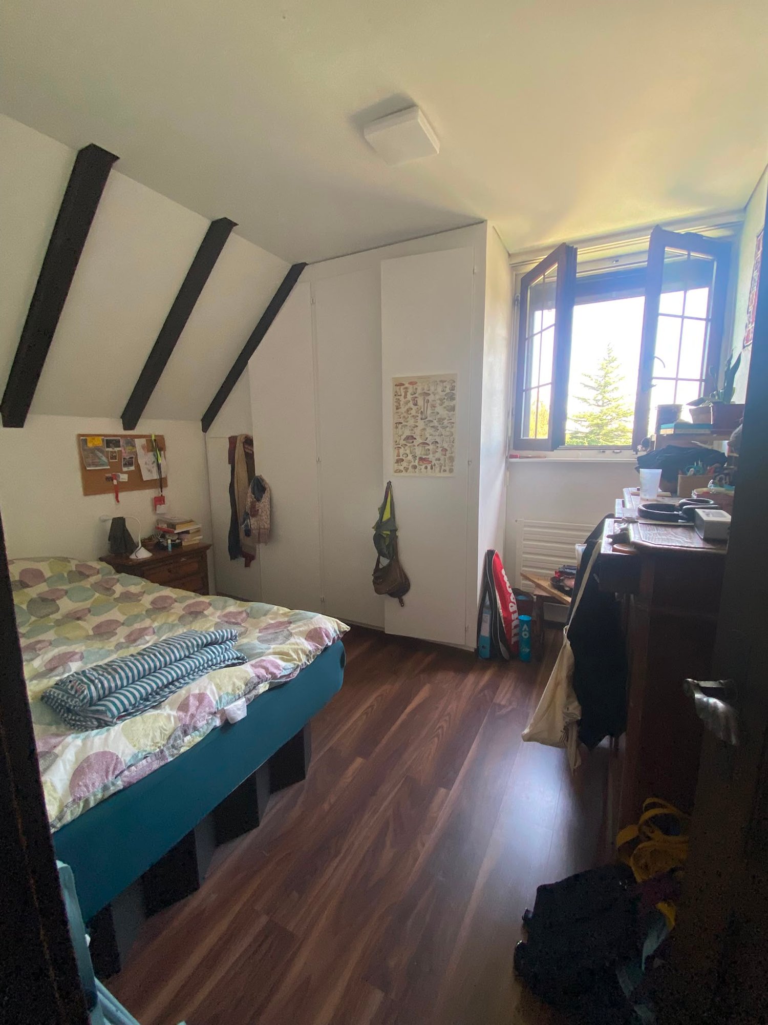 Room in a shared flat, photo 4 of 6