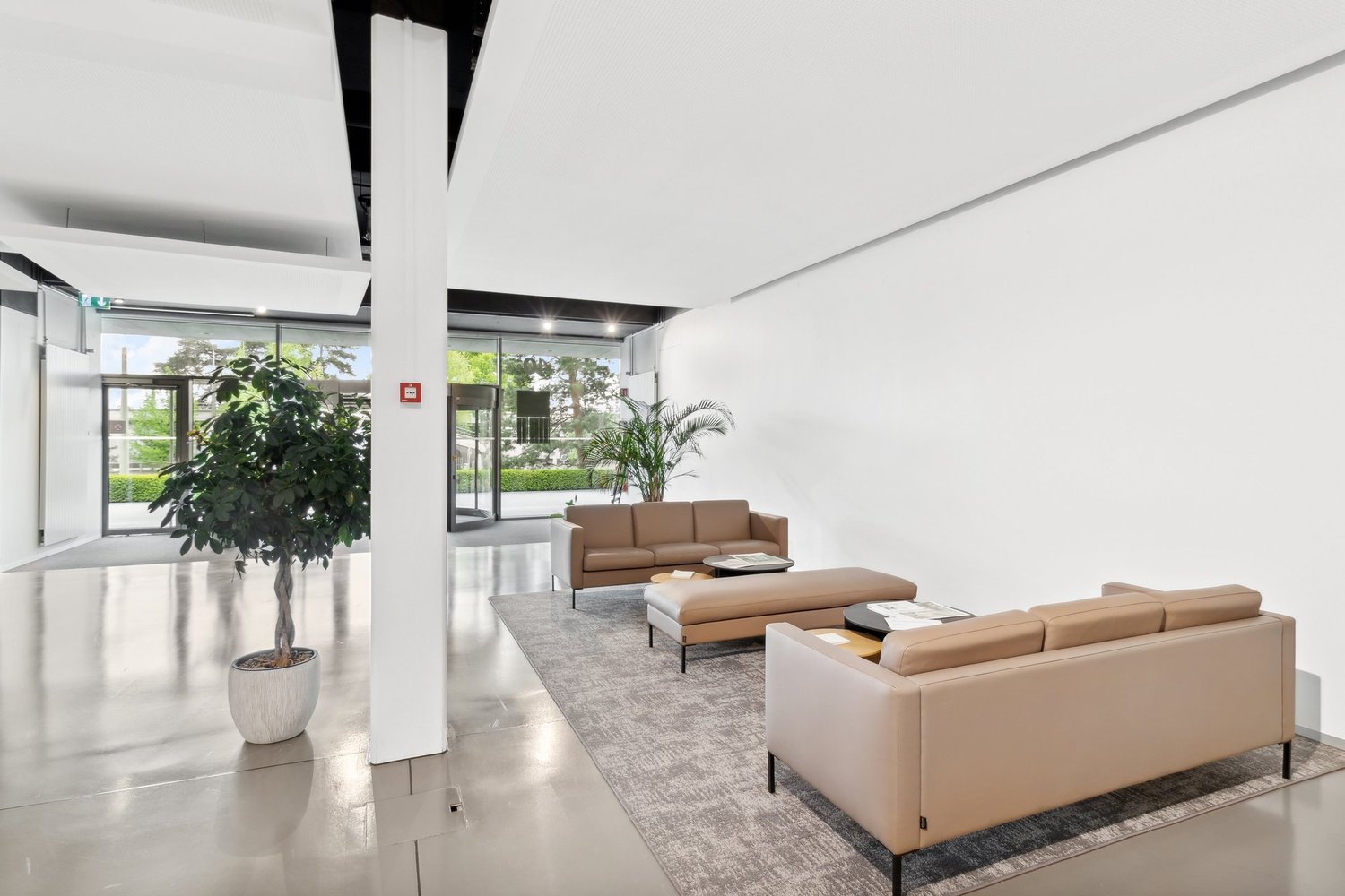 280m² office, photo 3 of 9