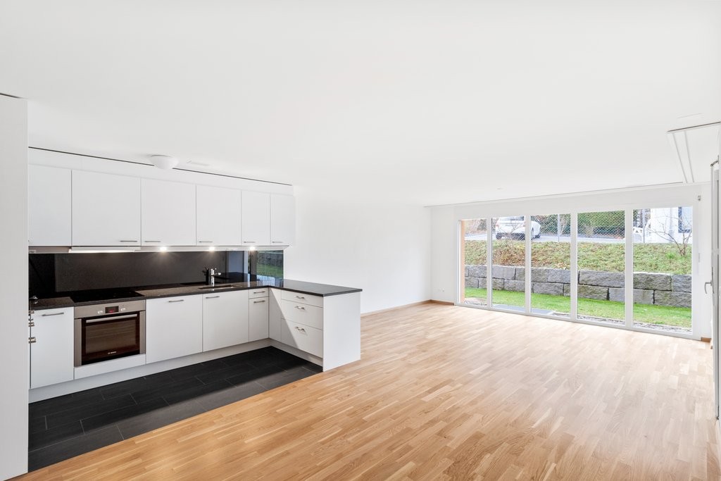 4 ½ rooms apartment (4)