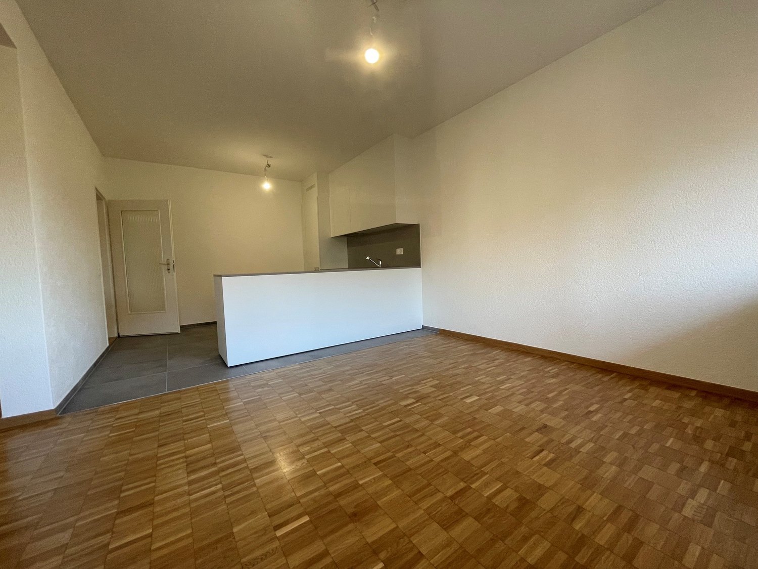 Appartement de 3 ½ pièces