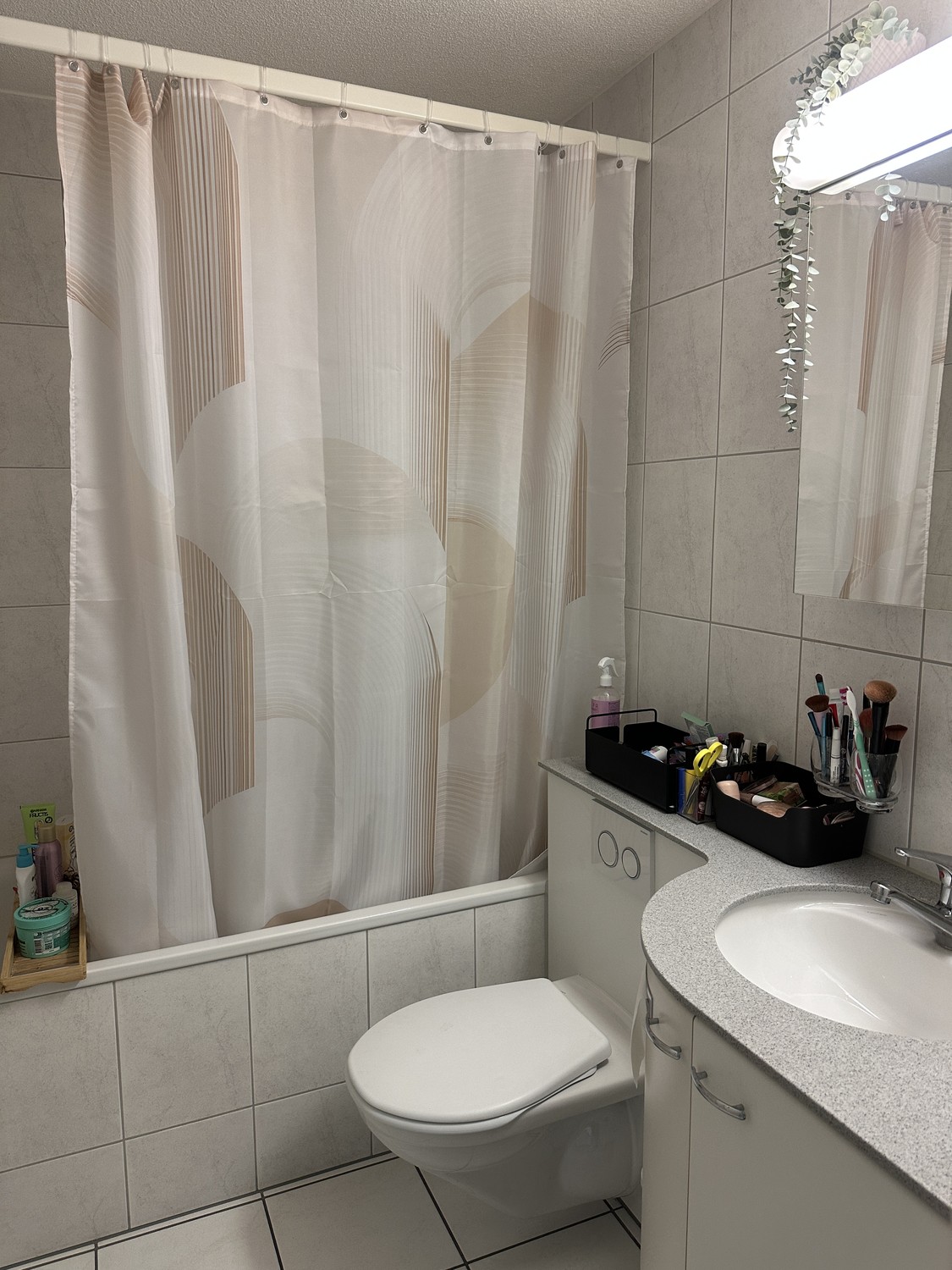 2 ½ rooms apartment, photo 4 of 5