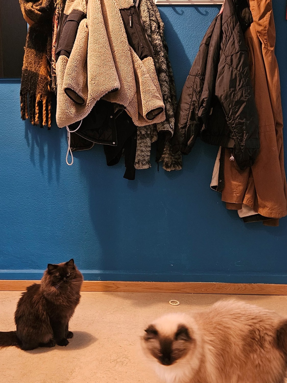 Room in a shared flat, photo 5 of 8
