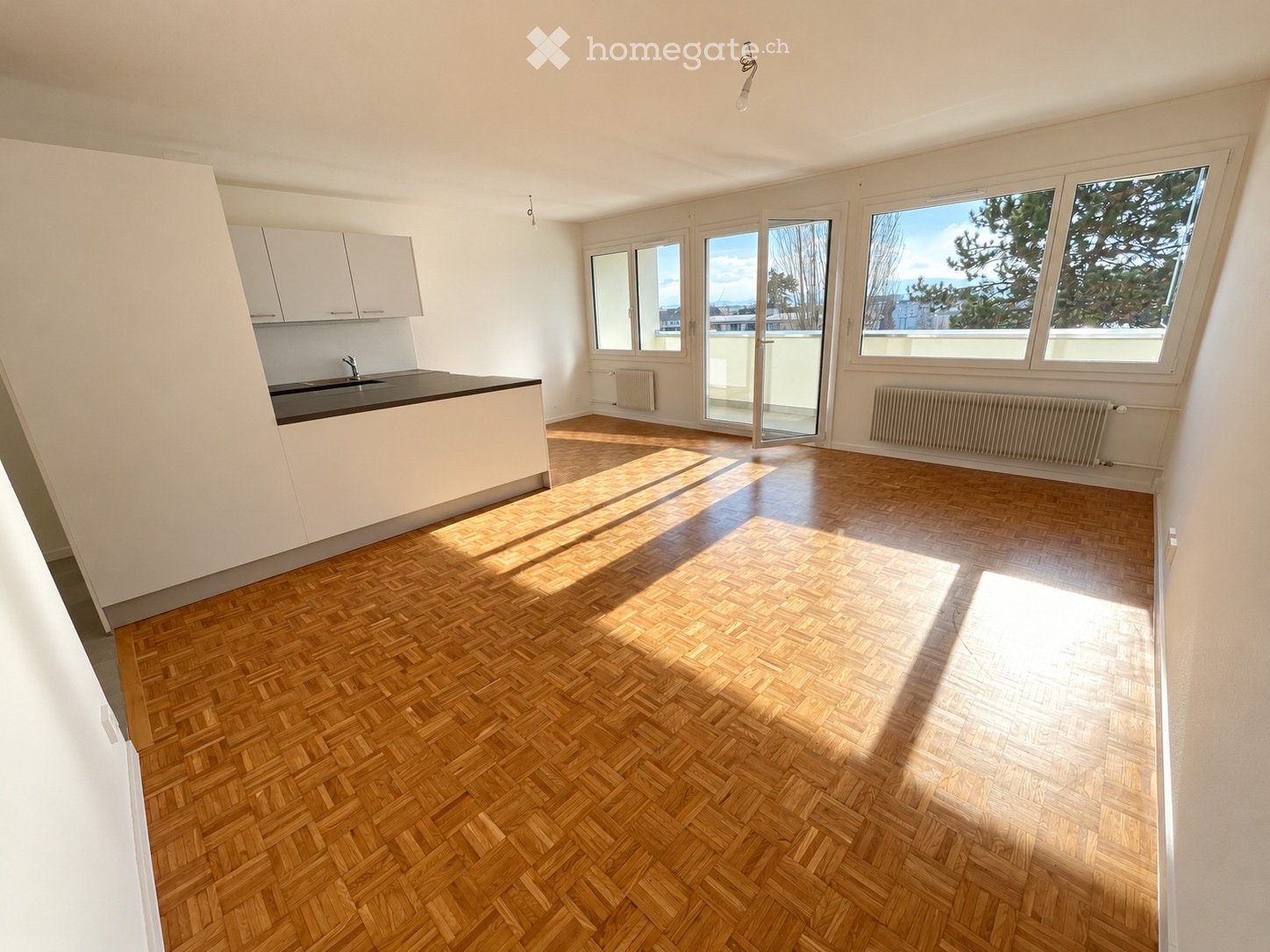 4 ½ rooms apartment