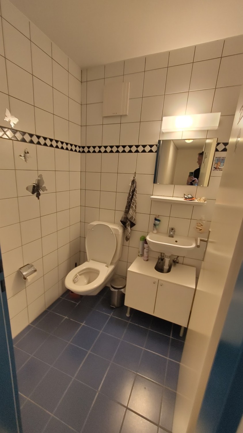 Room in a shared flat