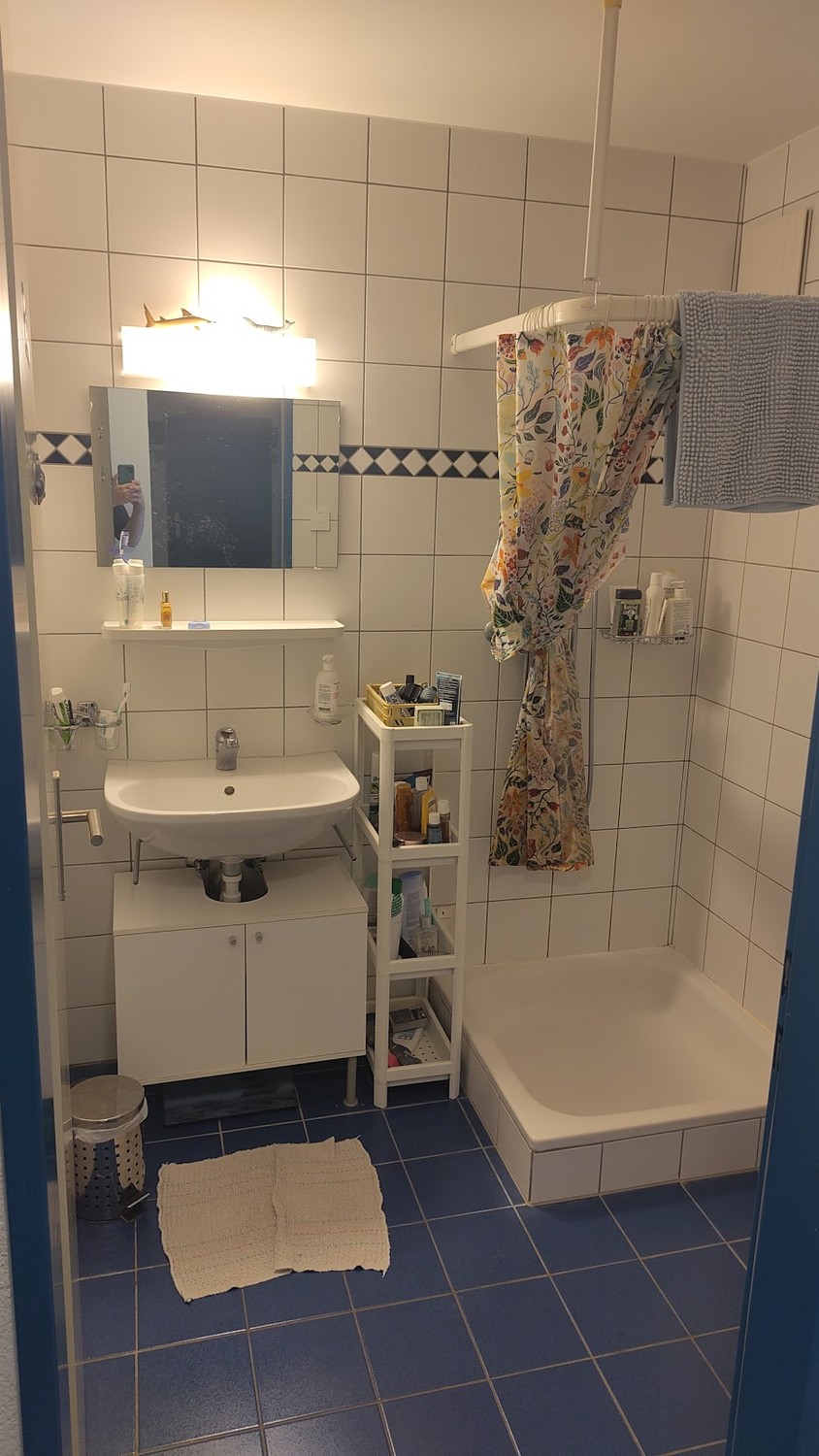 Room in a shared flat