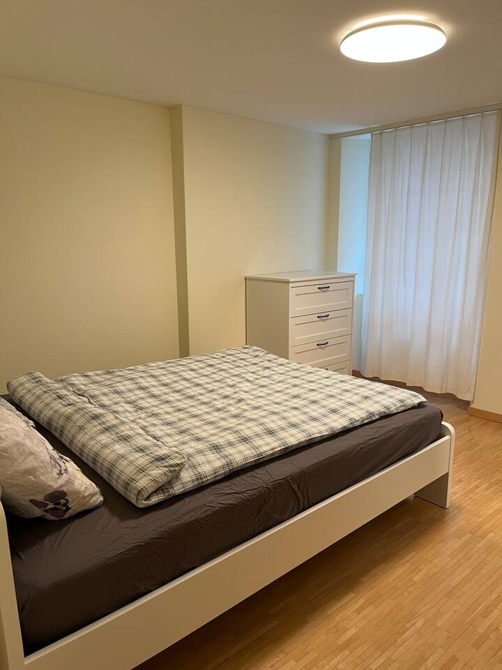 Room in a shared flat