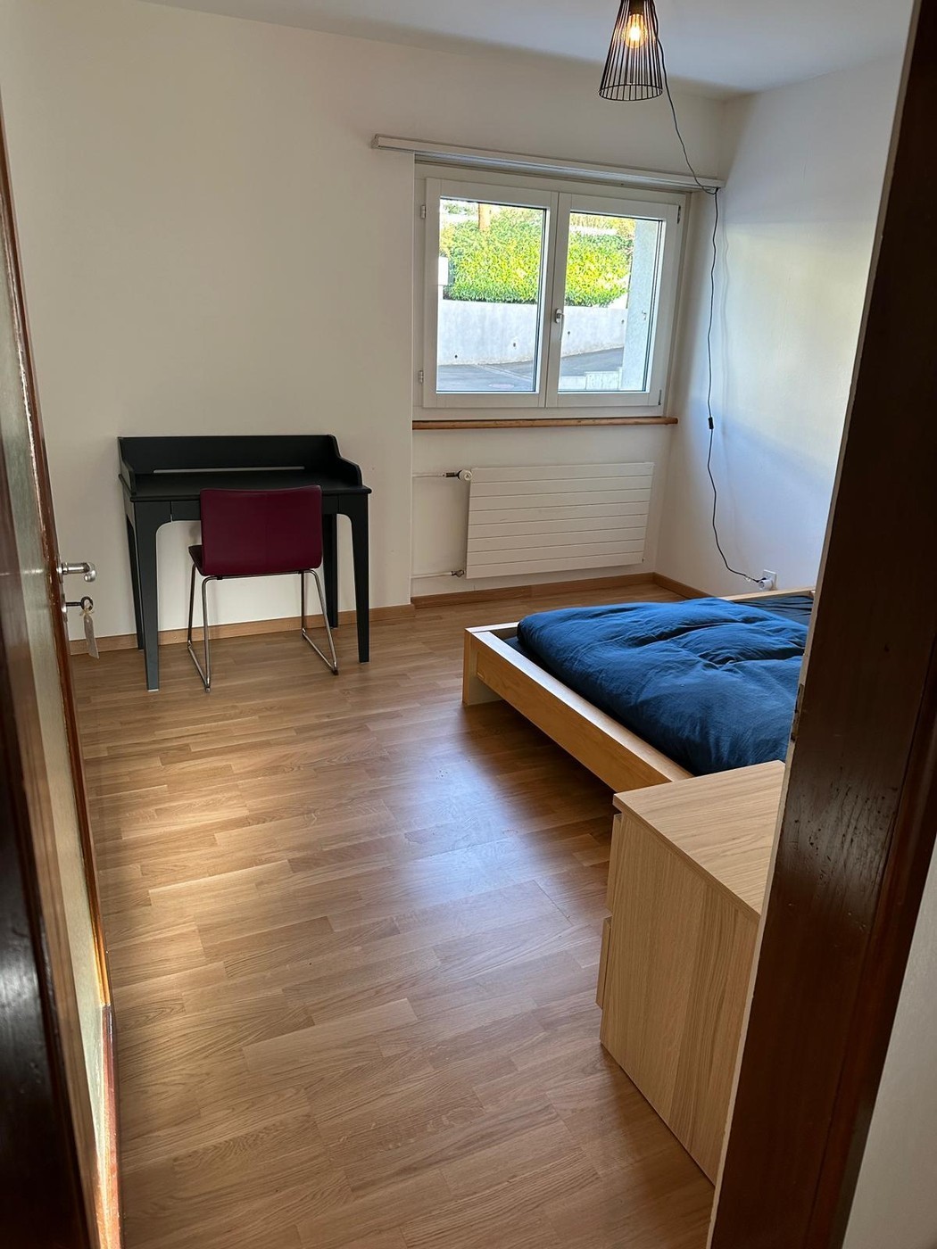Room in a shared flat