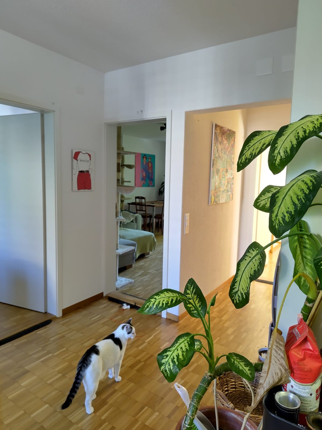 Room in a shared flat, photo 7 of 7