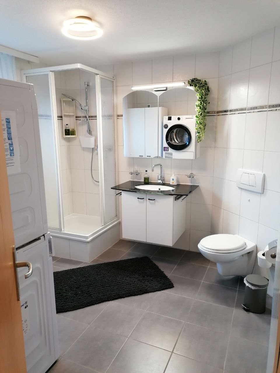 2 ½ pièces appartement