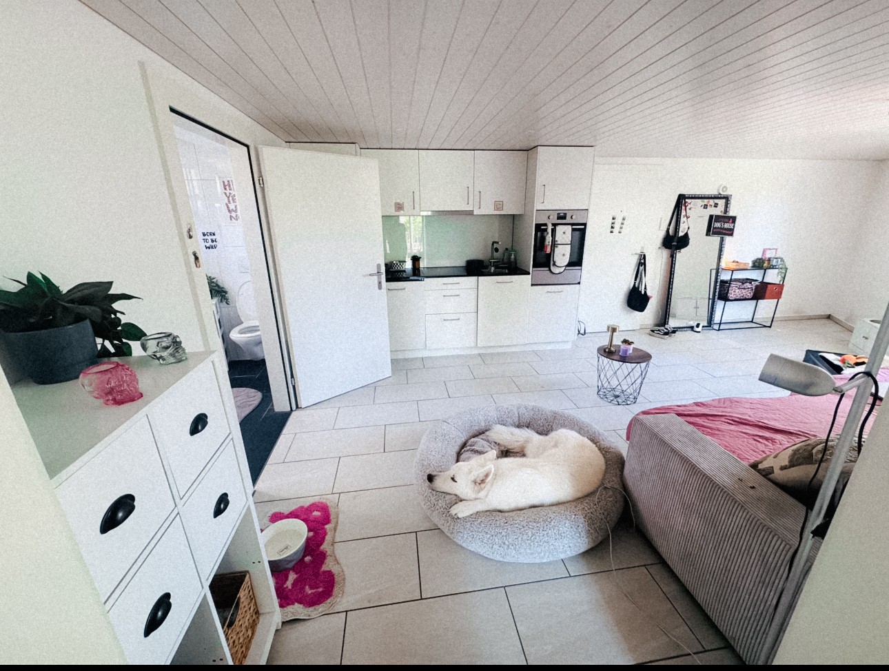 1 rooms apartment