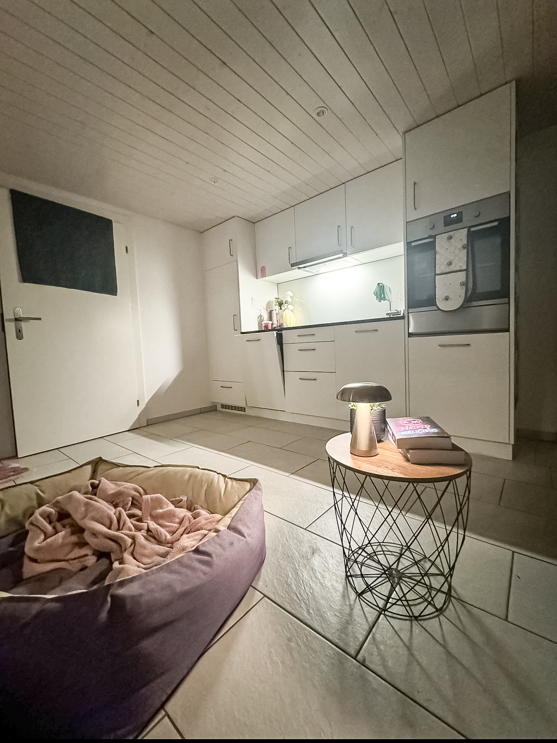 1 rooms apartment