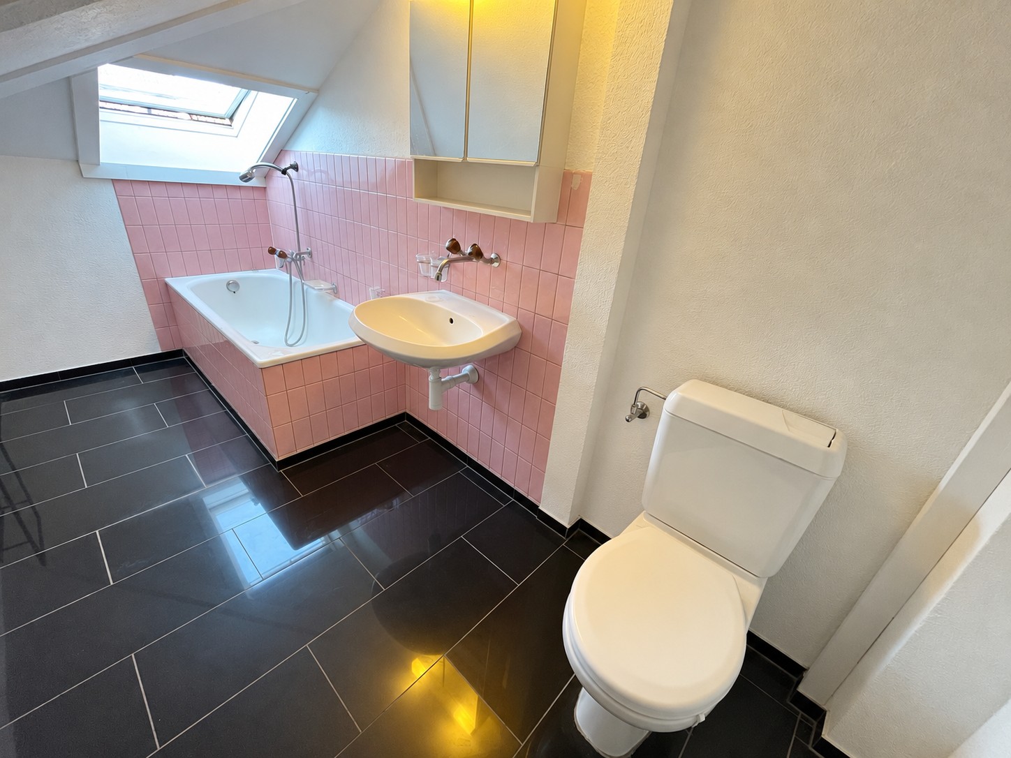 Appartement de 1 ½ pièce