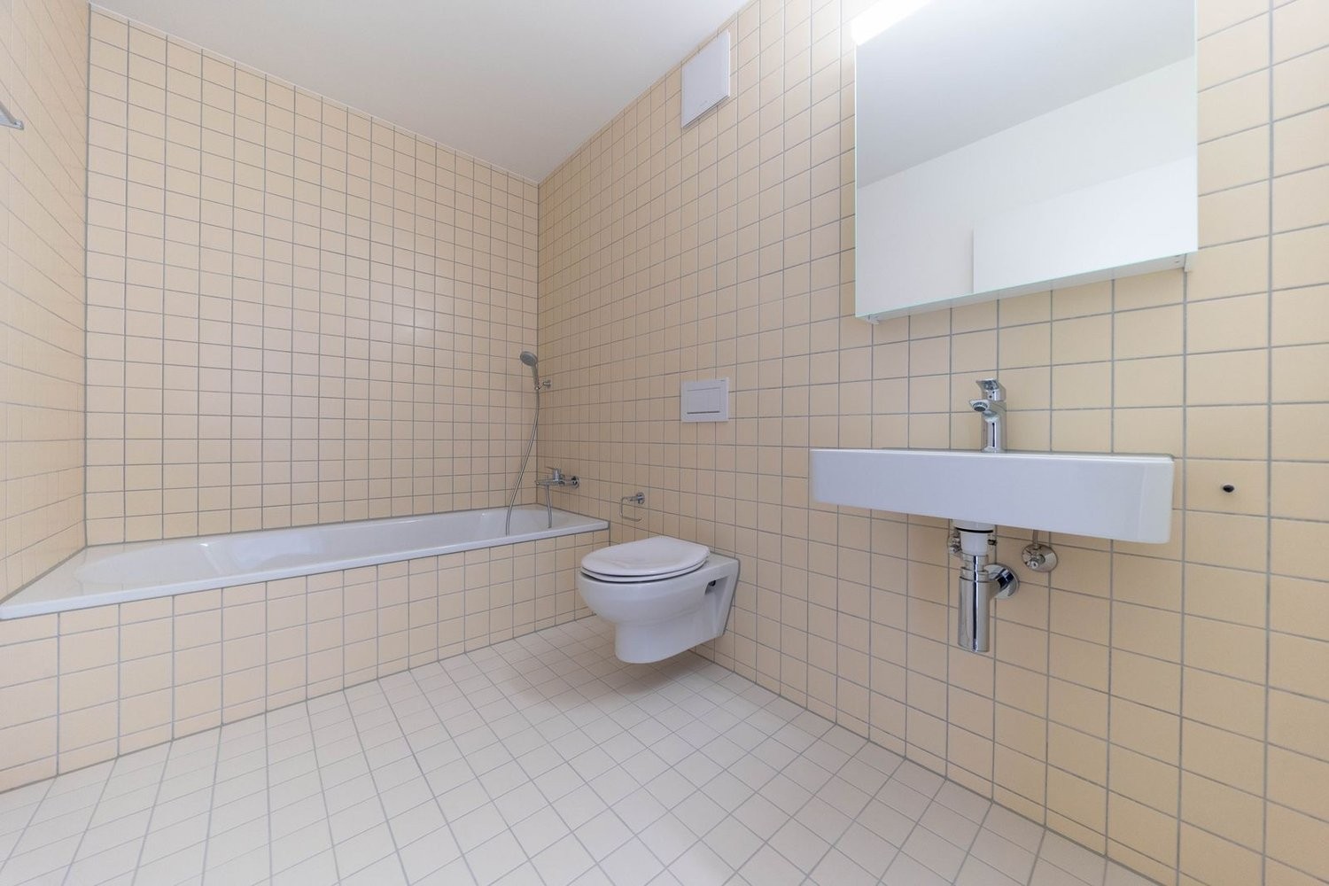 5 ½ rooms apartment