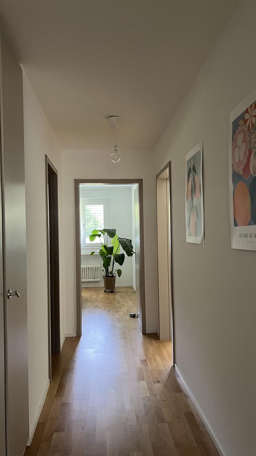 4 ½ rooms apartment, Foto 4 von 9
