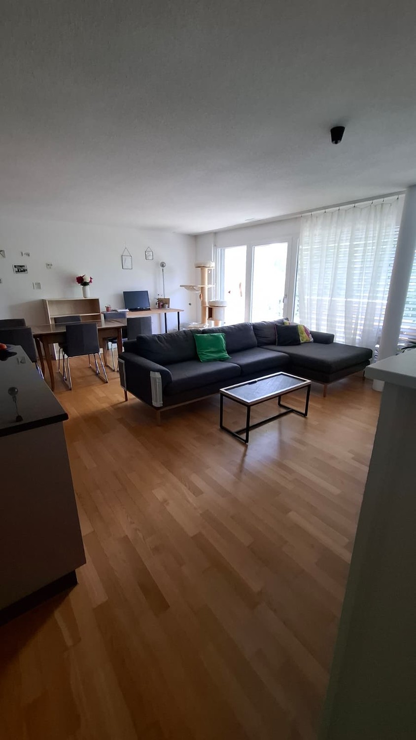 Room in a shared flat
