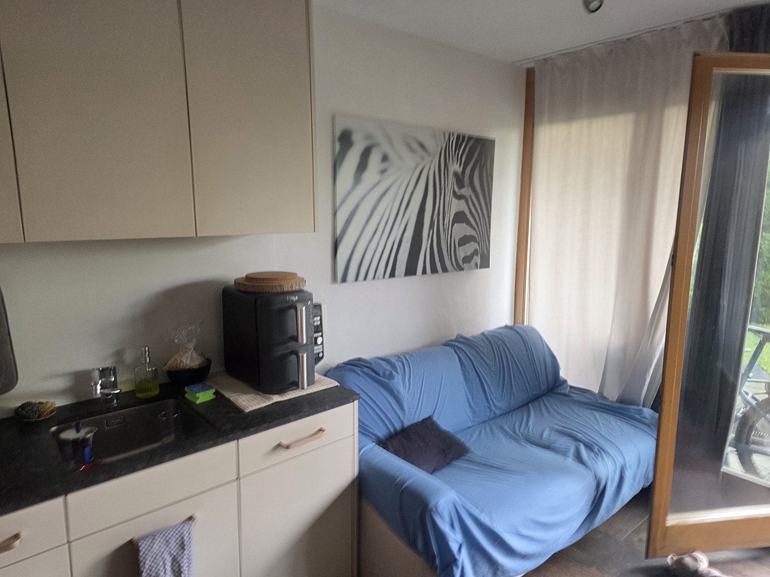 2 ½ rooms apartment