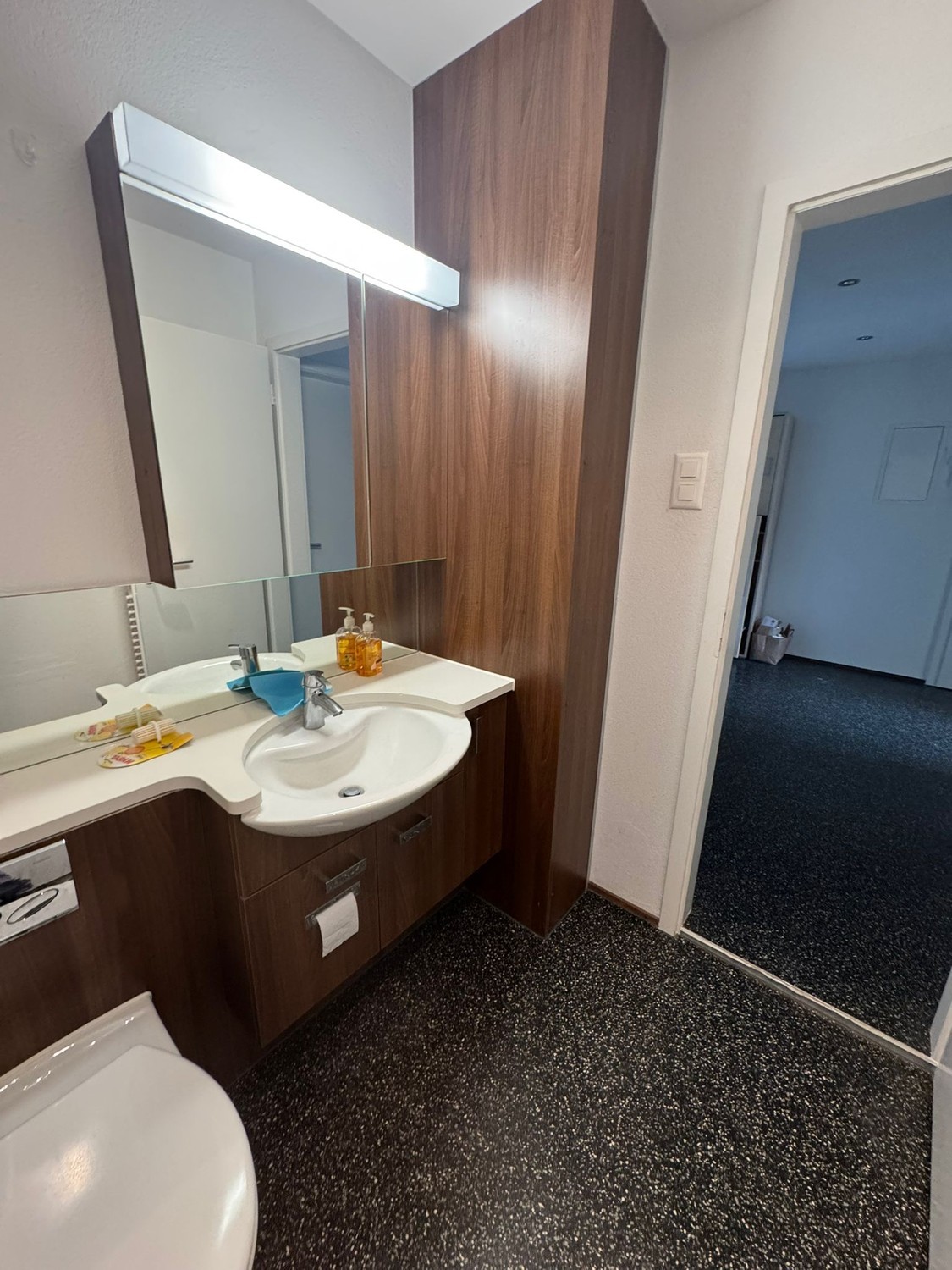Room in a shared flat
