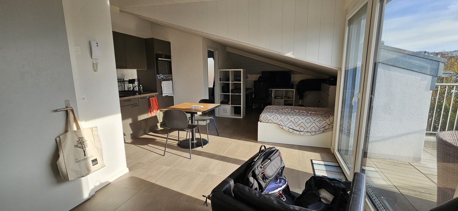 2 ½ Zimmer Wohnung