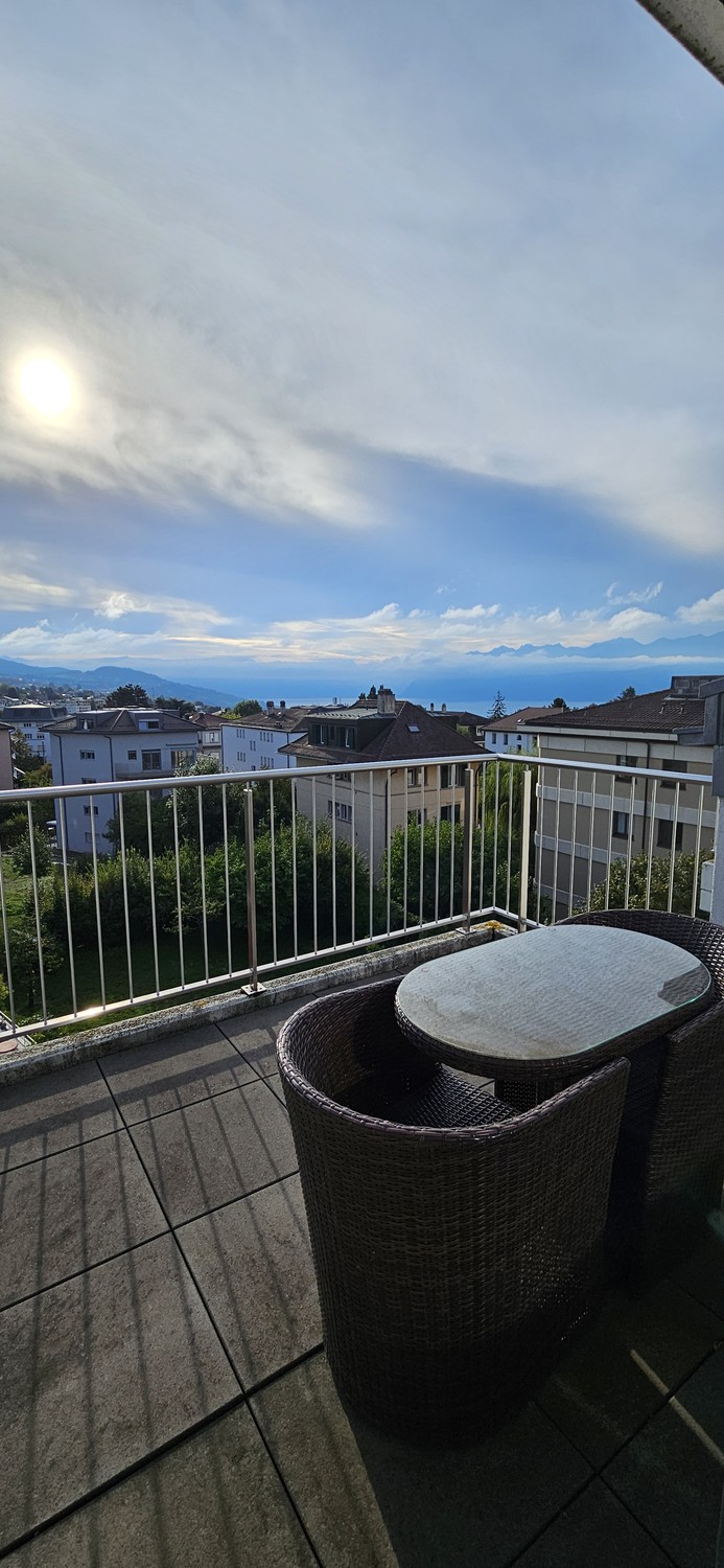 2 ½ Zimmer Wohnung