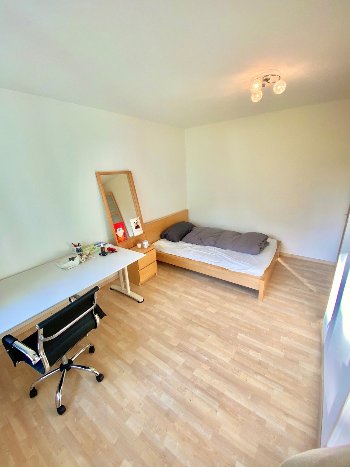 Room in a shared flat