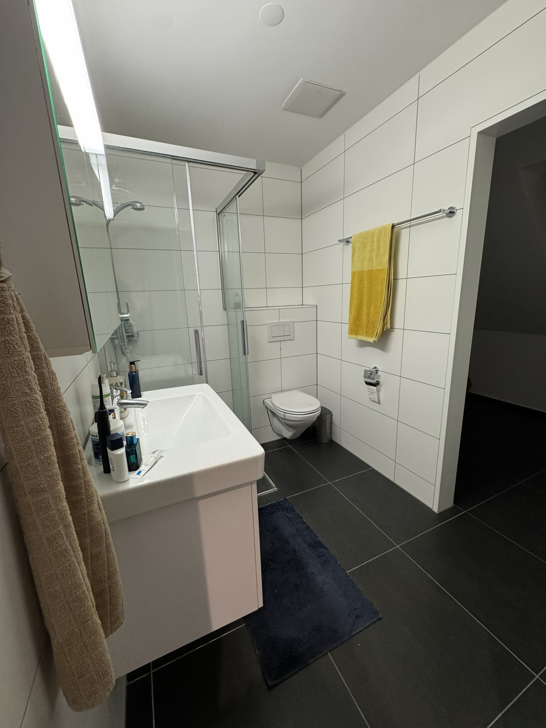 2 ½ Zimmer Wohnung