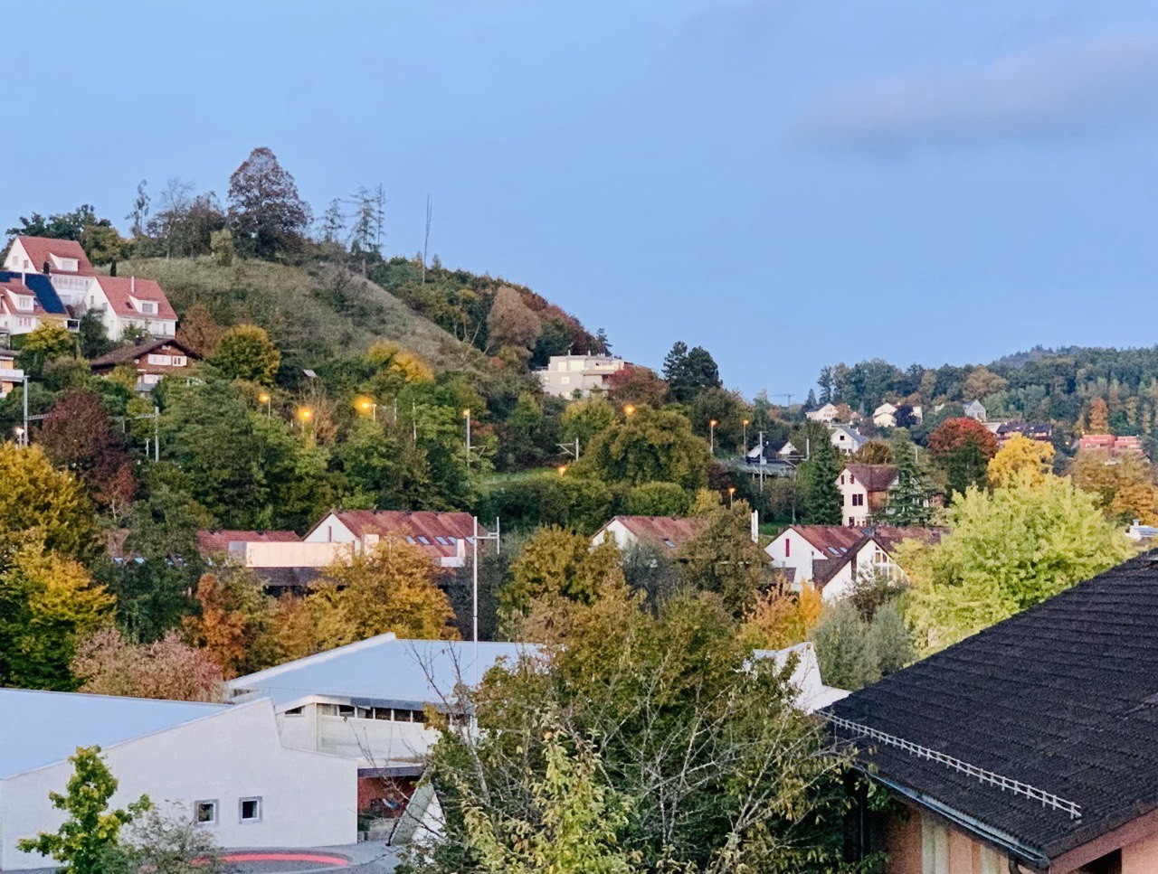 2 ½ Zimmer Wohnung