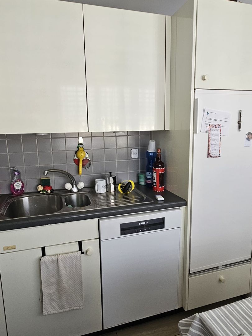 4 ½ rooms apartment (5)