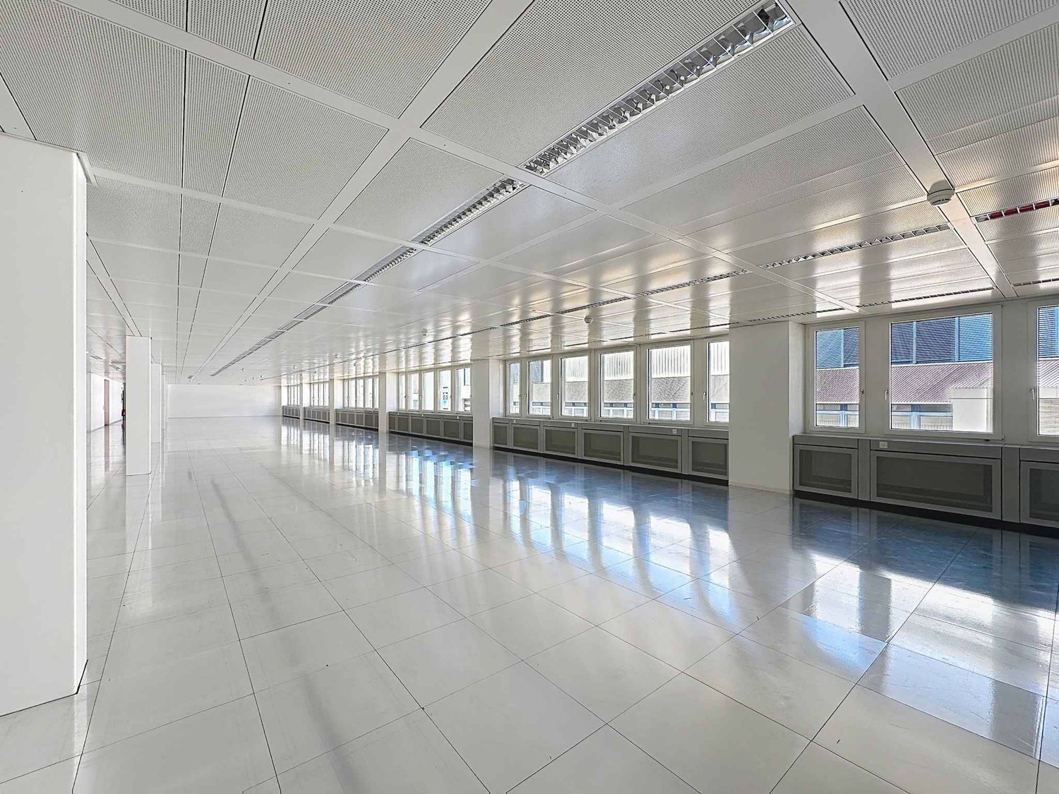 1262m² commercial, photo 3 of 10