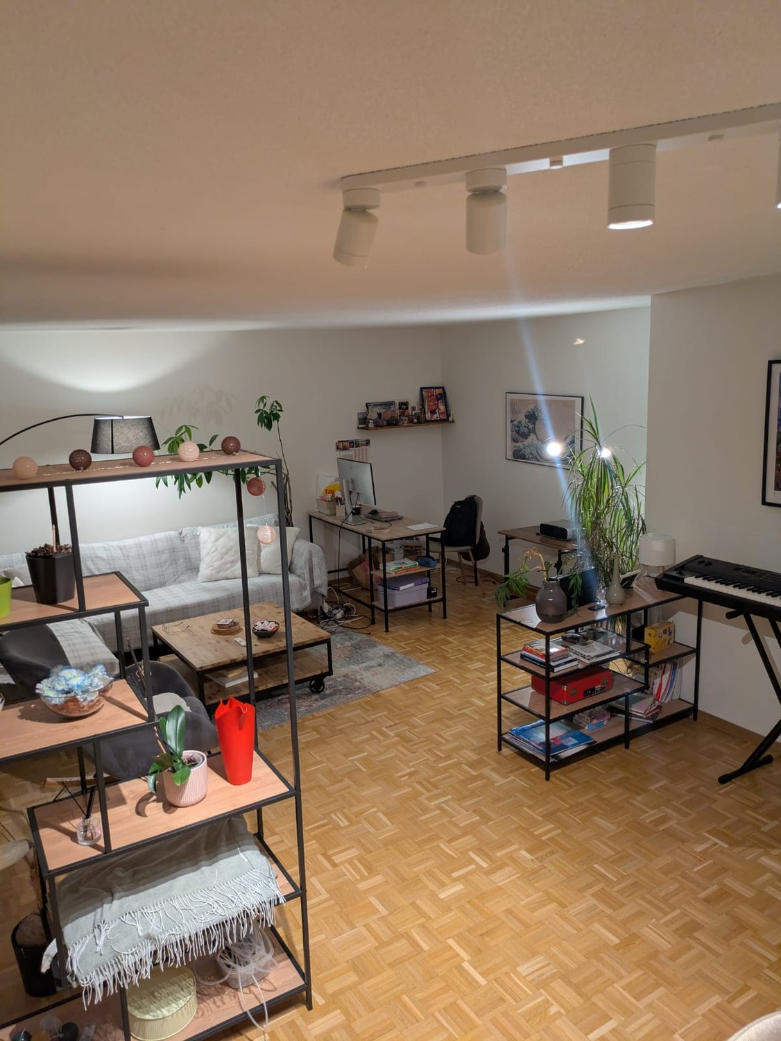Room in a shared flat