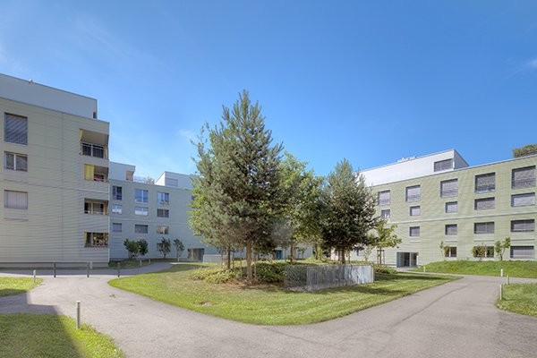 2 ½ pièces appartement