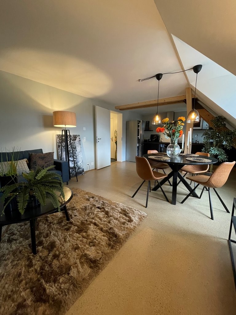 4 ½ pièces duplex