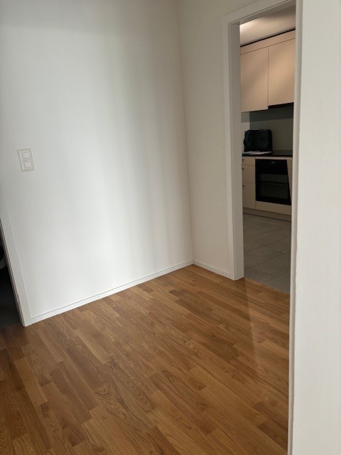 1 rooms apartment