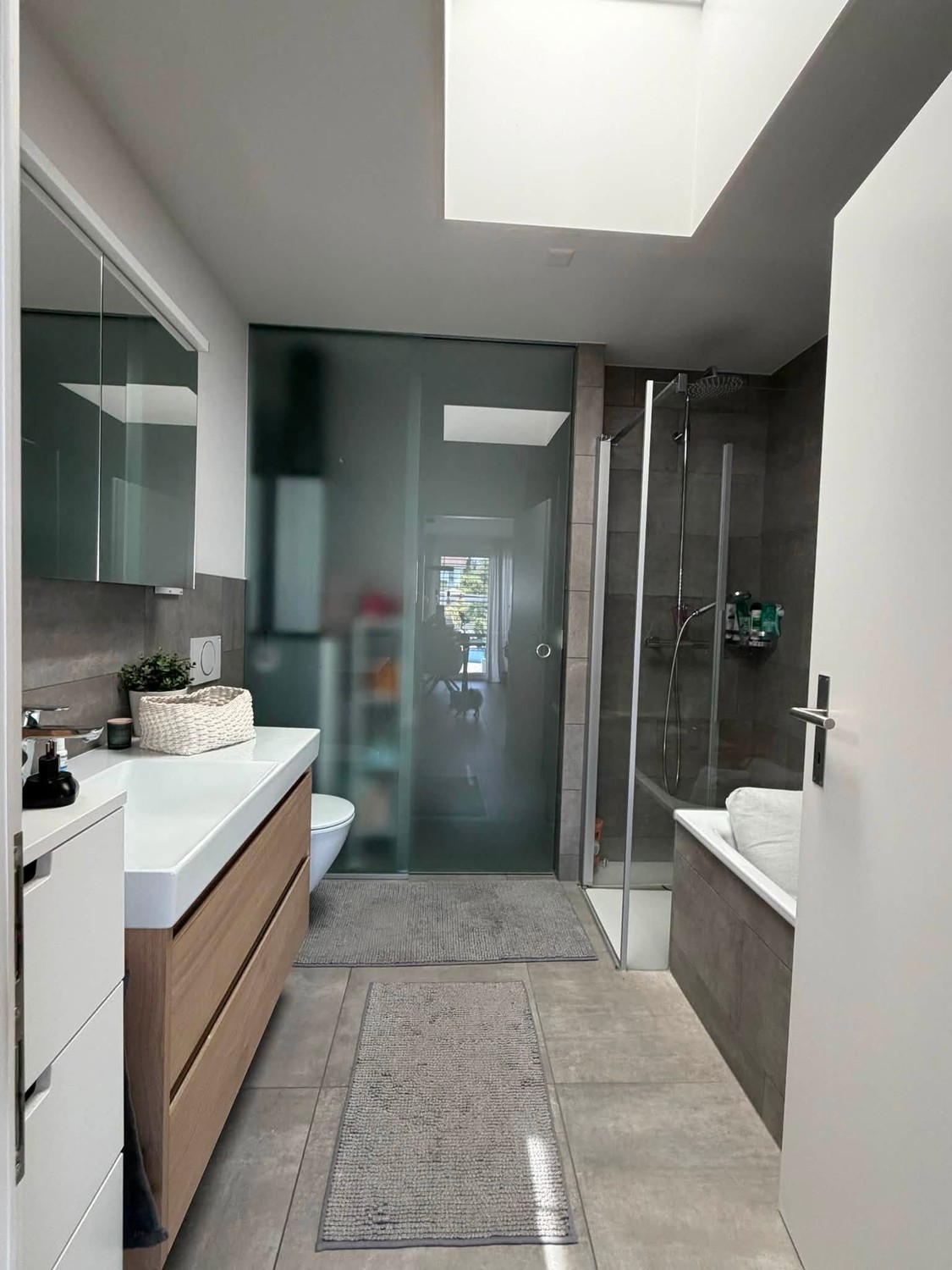 Appartement de 3 ½ pièces