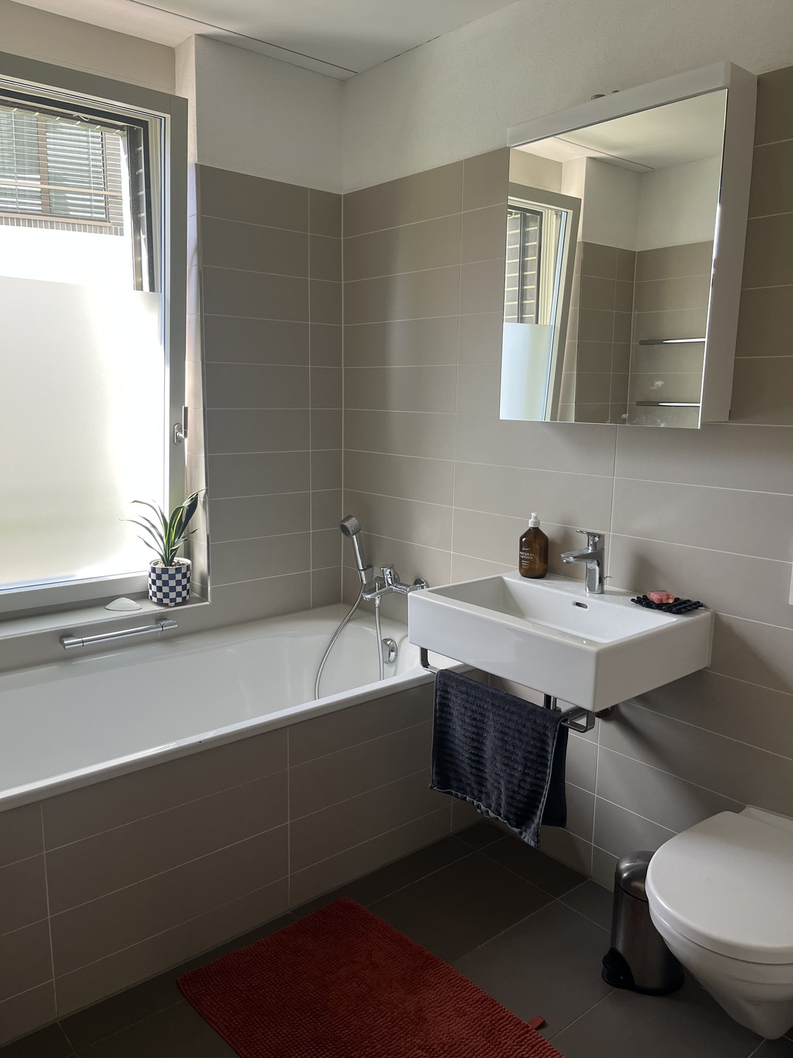 3 ½ Zimmer Wohnung