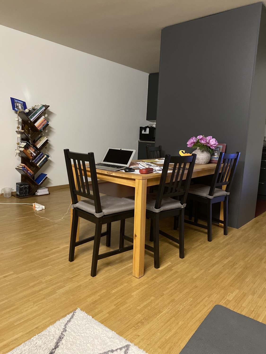 2 ½ rooms apartment