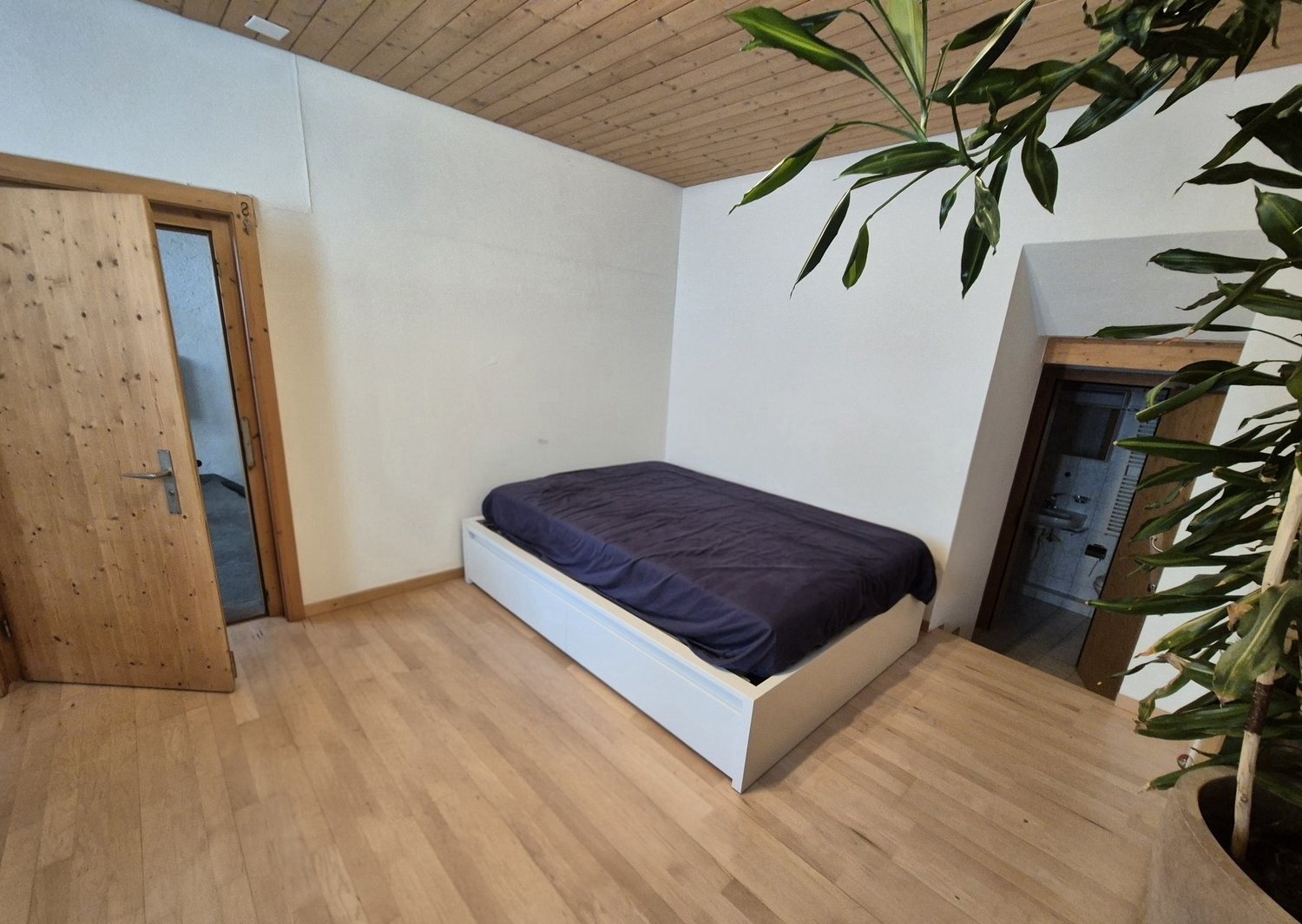 Appartamento arredato di 2 ½ locali