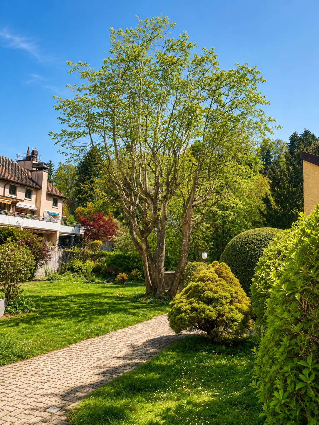 Appartement de 3 ¾ pièces