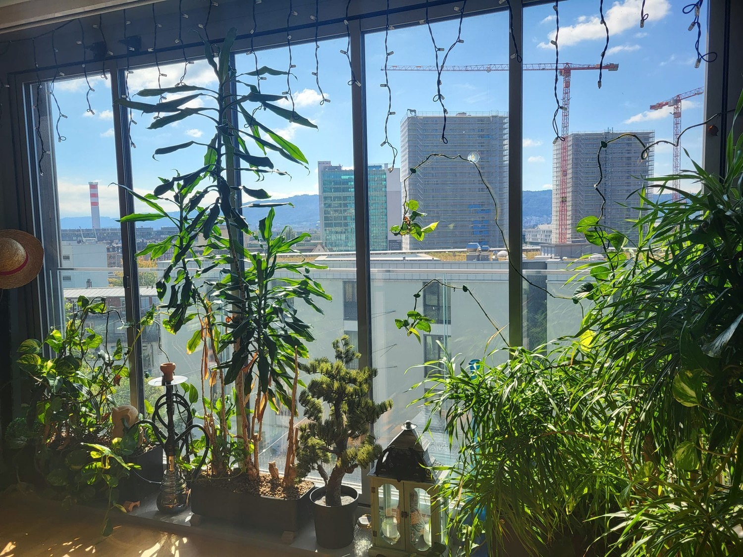 2 ½ rooms apartment, photo 2 of 10