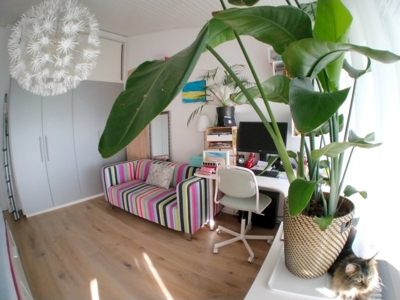 5 ½ rooms furnished flat