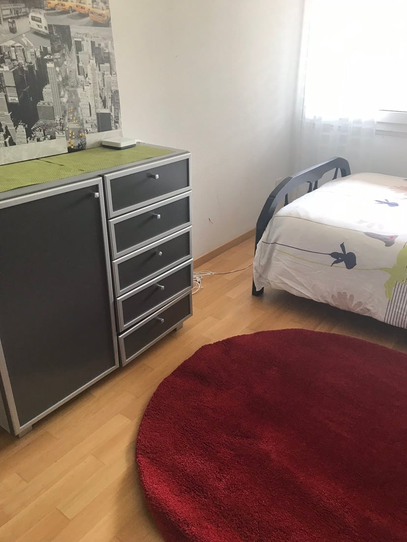 Room in a shared flat