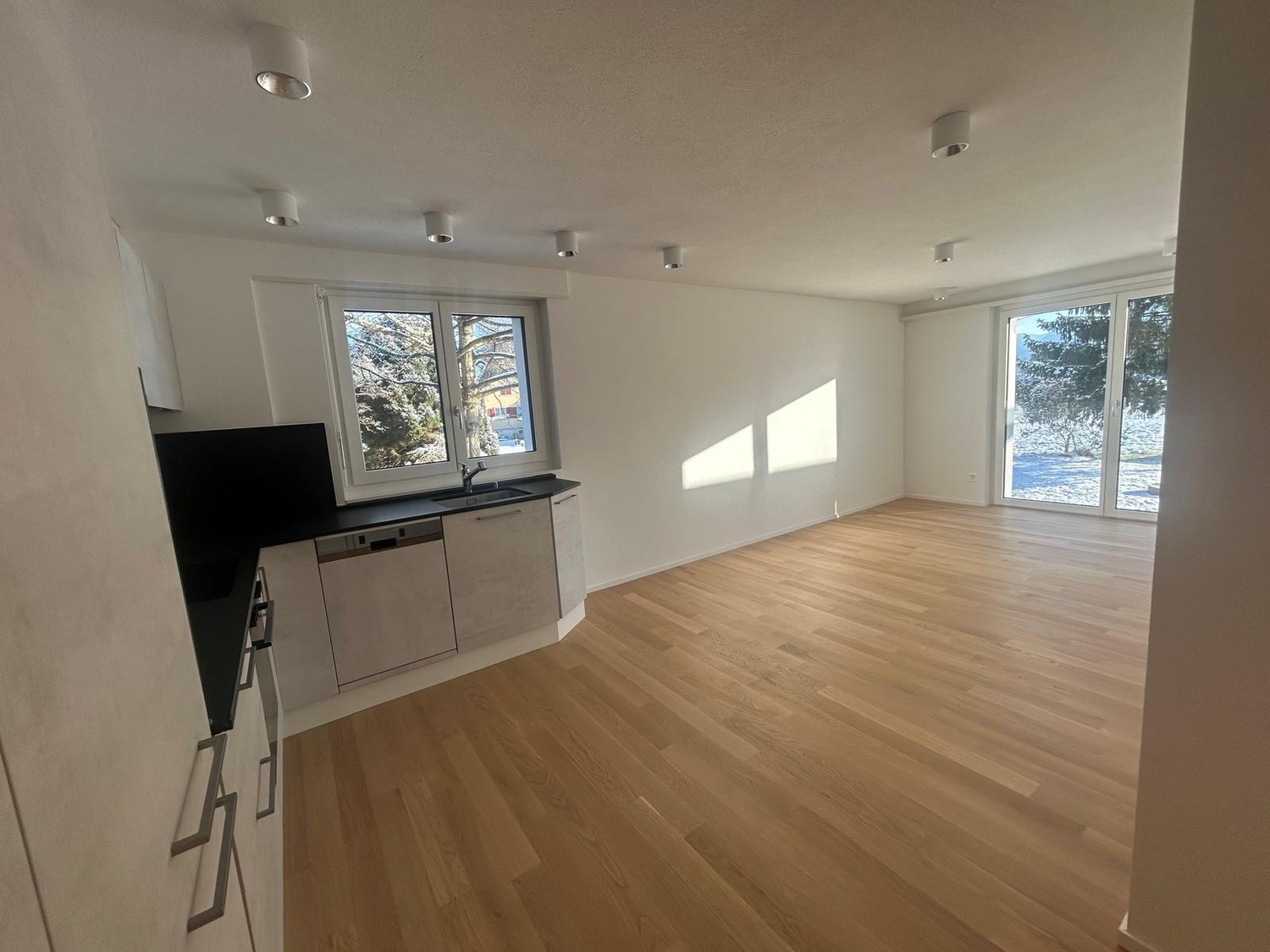 2 ½ rooms apartment