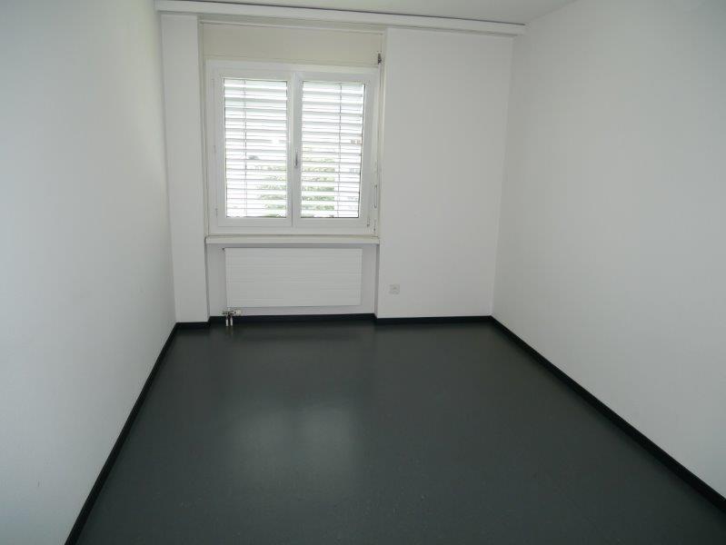 4 ½ rooms apartment (4)