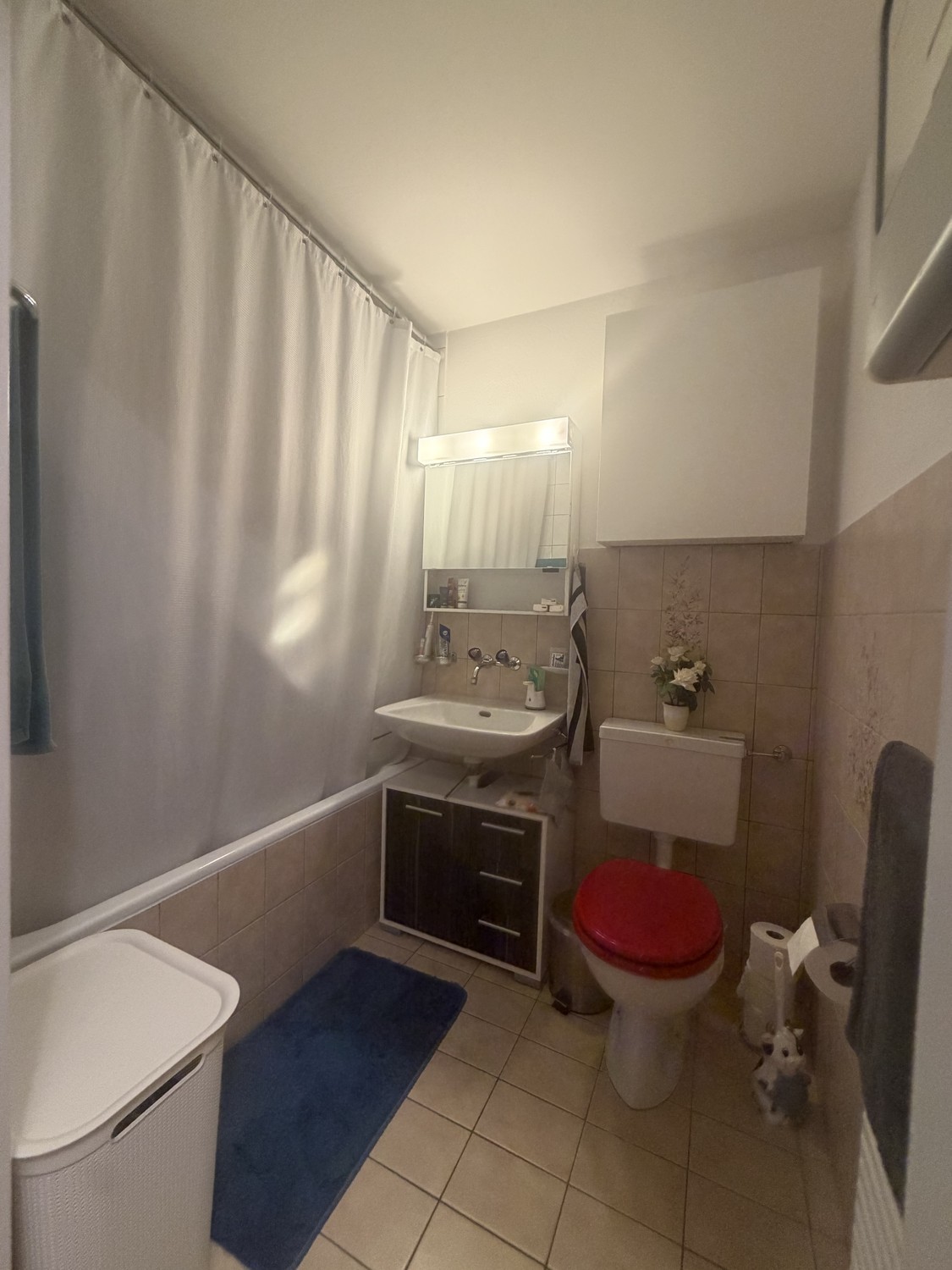2 ½ rooms apartment, Foto 8 von 8