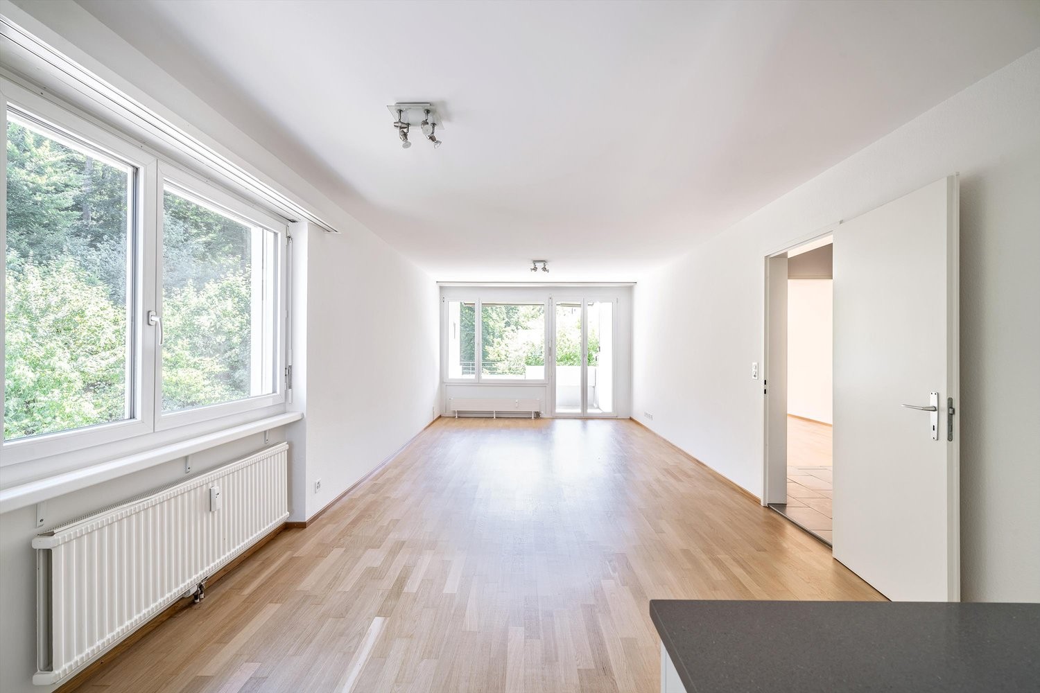 2 ½ rooms apartment