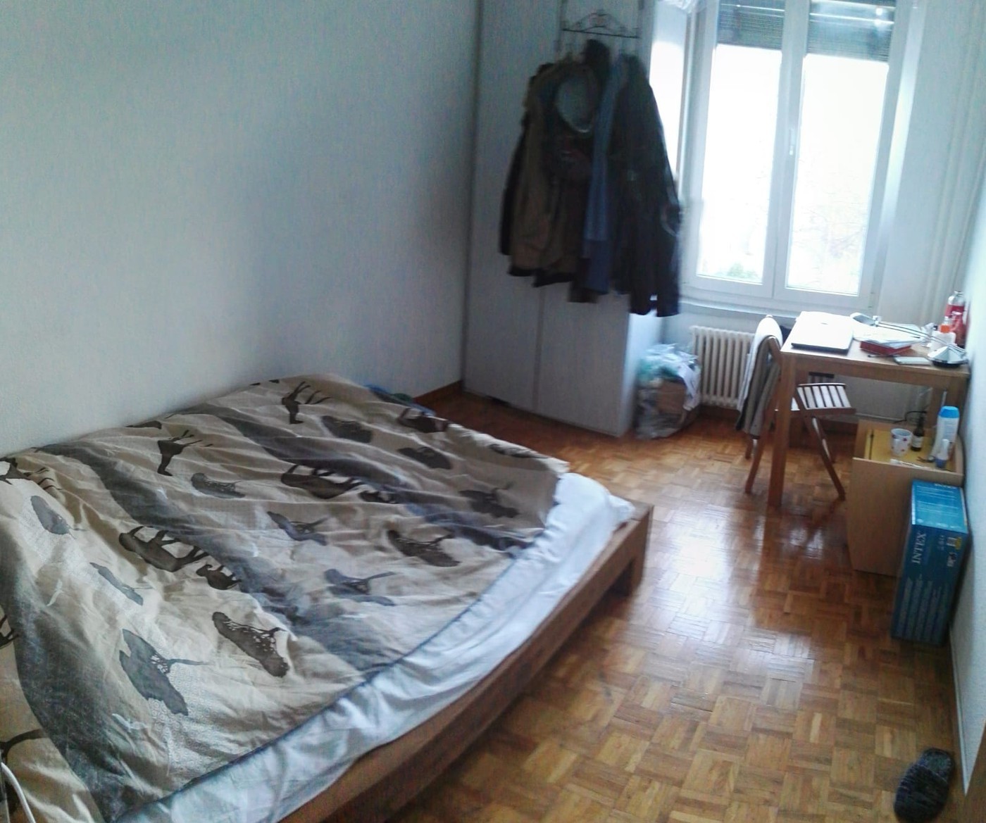 Room in a shared flat