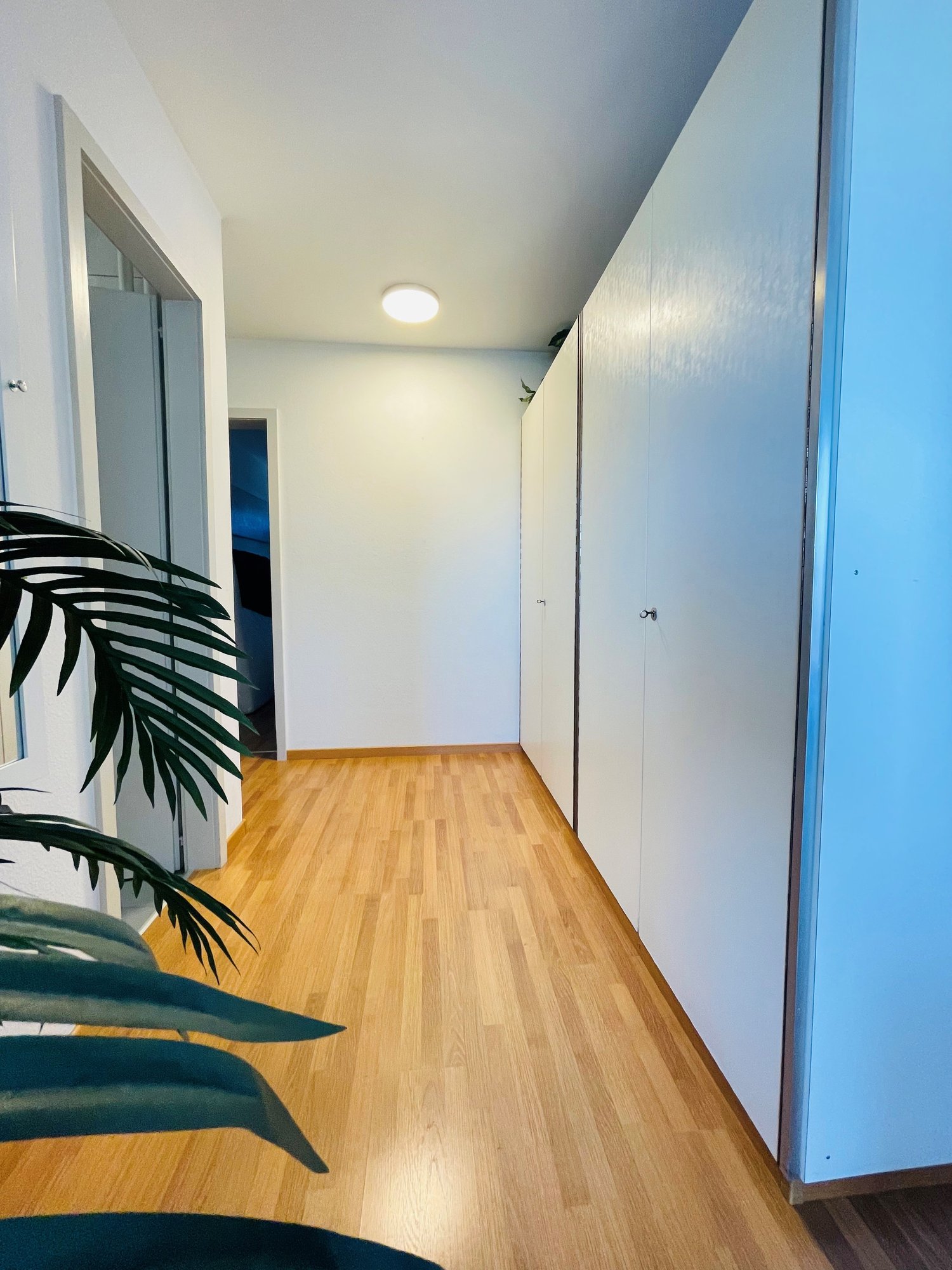 4 rooms apartment
