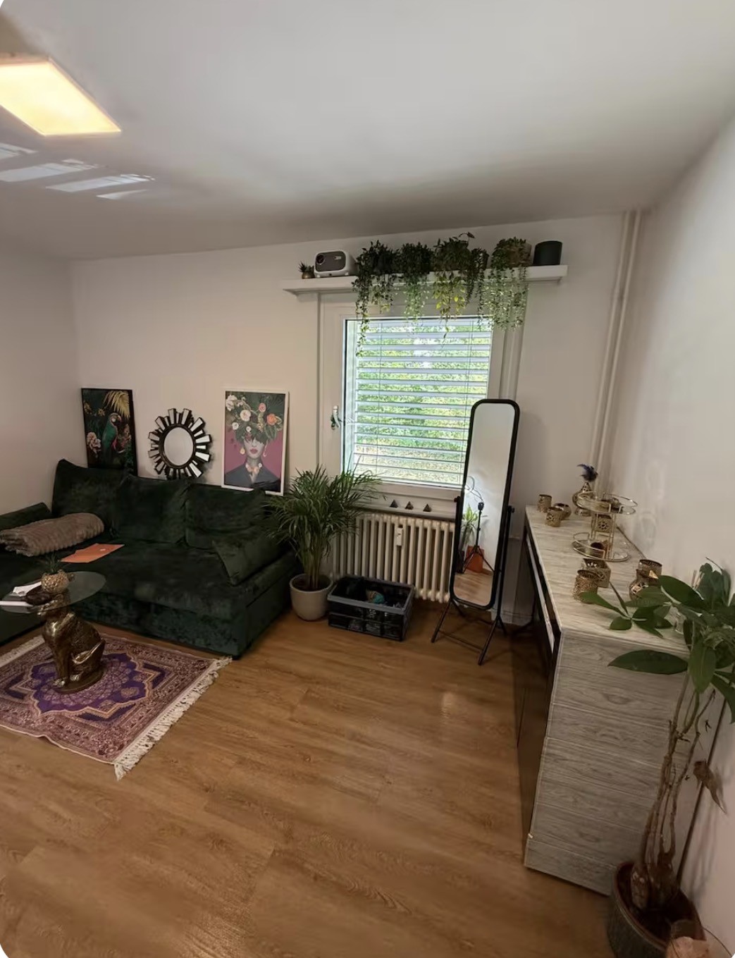 Room in a shared flat