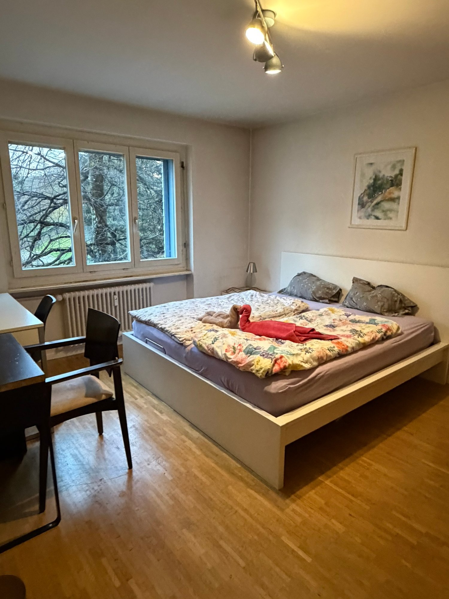 2 ½ rooms furnished flat, photo 5 of 10
