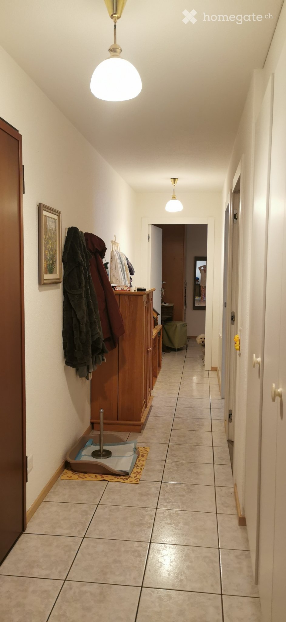 3-Zimmer-Wohnung