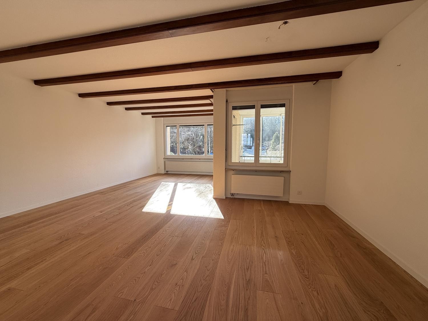 3 ½ pièces appartement